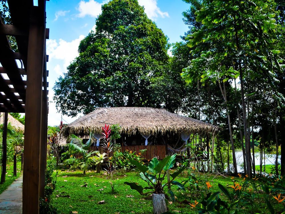 Tuin van de lodge - Amazonewoud