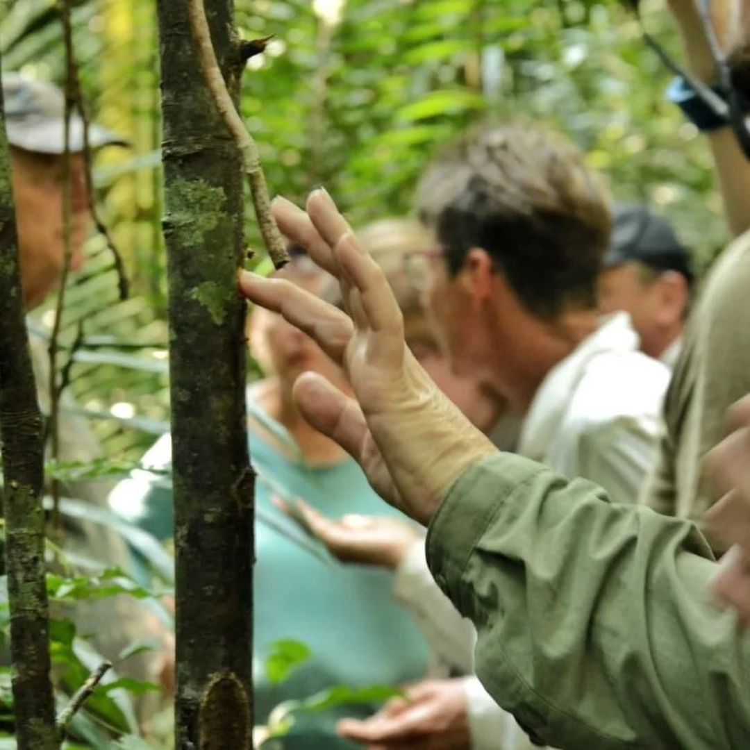 Erkundung des Amazonas Regenwald