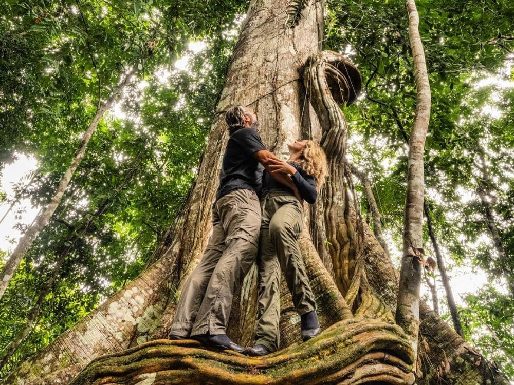 Amazonas Regenwald Touren