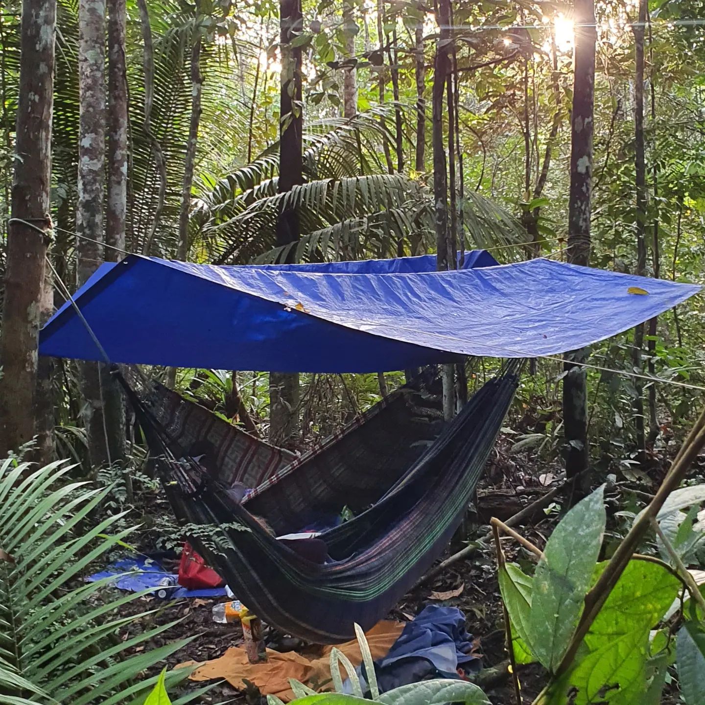 Hébérgement trek de survie en Amazonie