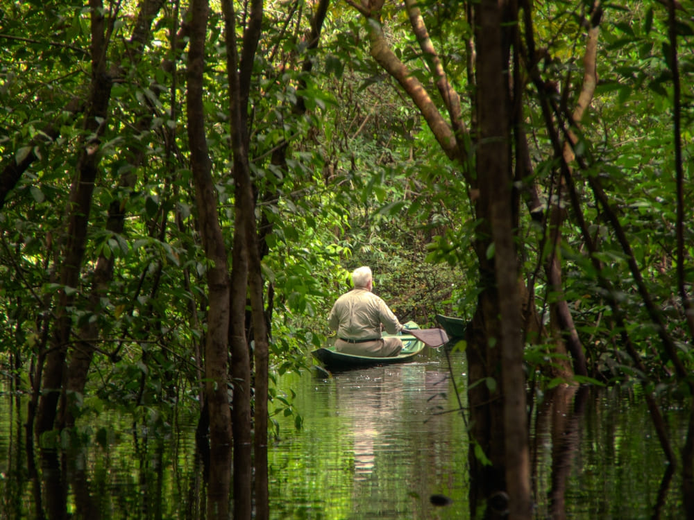 Anavilhanas Jungle Lodge - Canoë