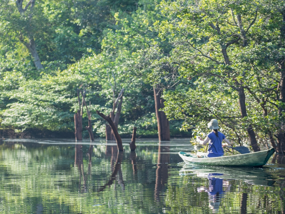 Anavilhanas Jungle Lodge Brésil - canoë dans la forêt inondée