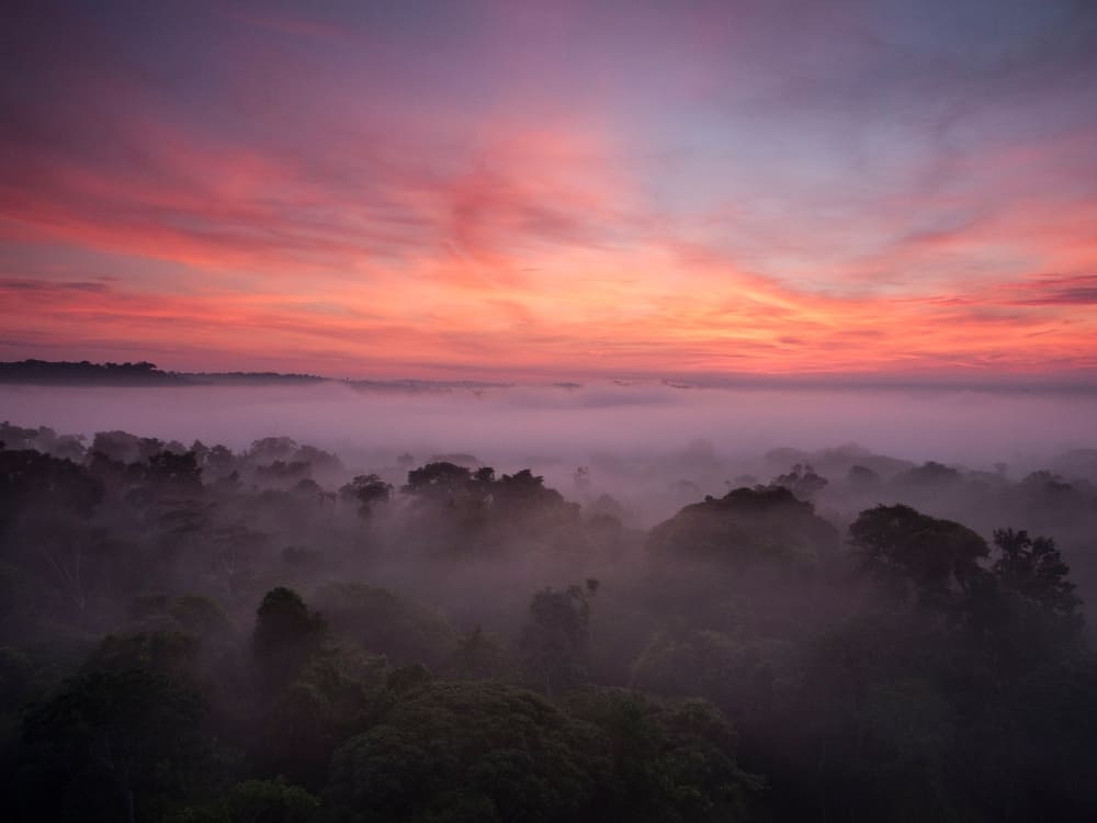 Cristalino Jungle Lodge: Your Gateway to the heart of the Amazon