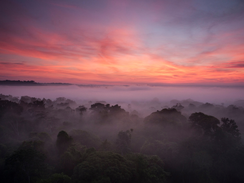 Blick auf den Sonnenuntergang vom Wachturm der Cristalino Jungle Lodge