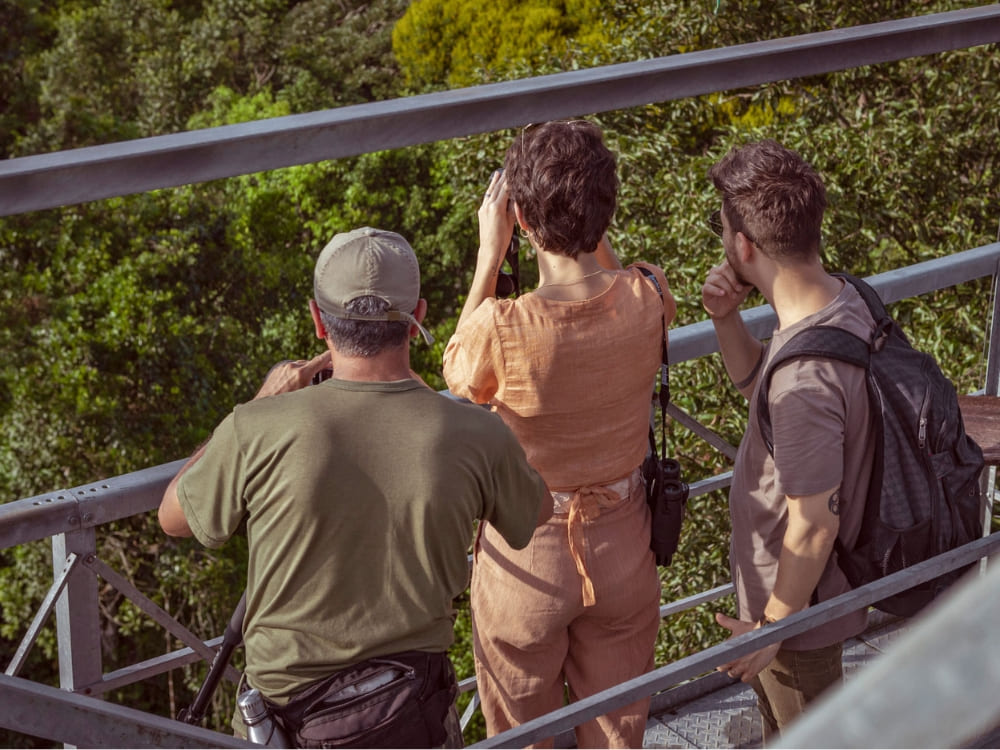 Towerview Cristalino Jungle Lodge