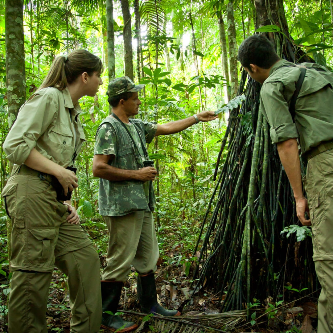 Learning about the forest - Cristalino Jungle Lodge