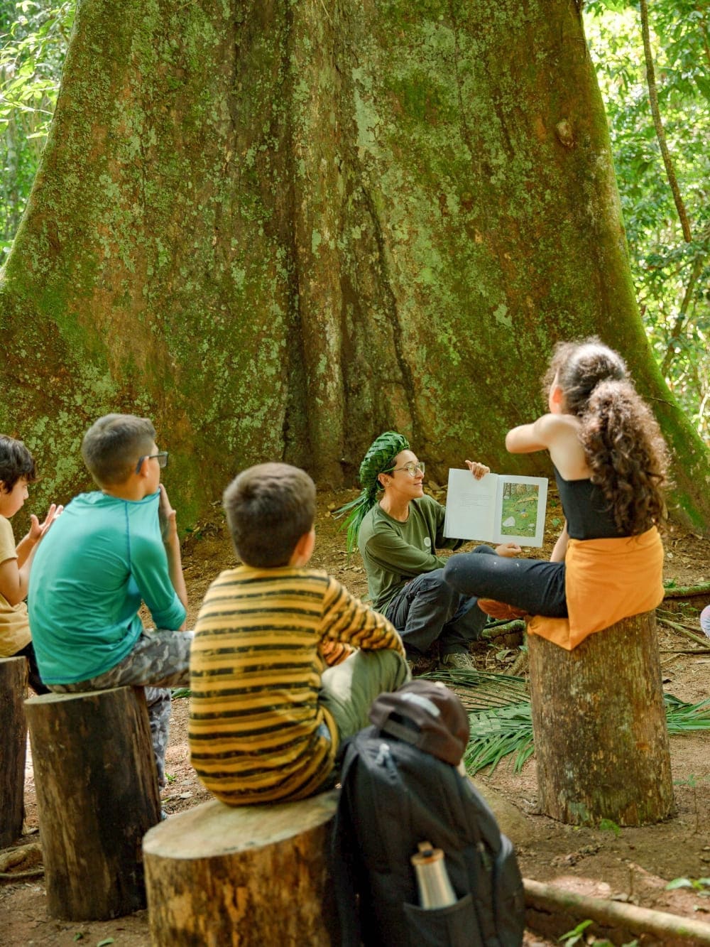 Leitura Interatva Cristalino Jungle Lodge Activities