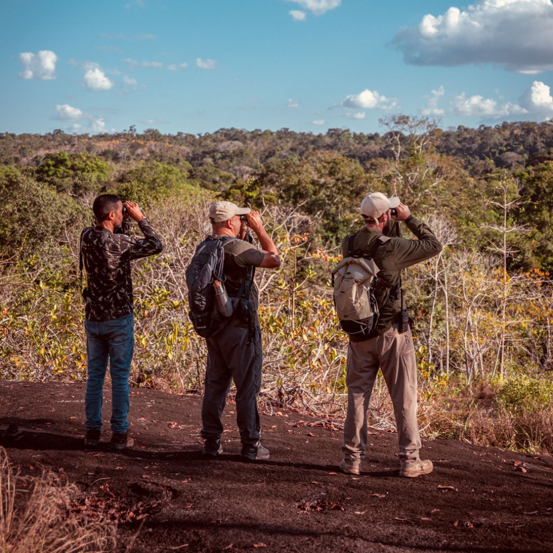 Wildlife watching at Cristalino Jungle Lodge