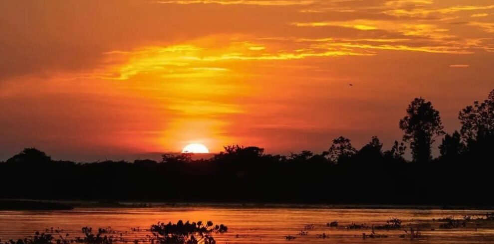 Pantanal Tour from Cuiabá