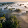 Sustainable Travel: how can we protect the Amazon Rainforest