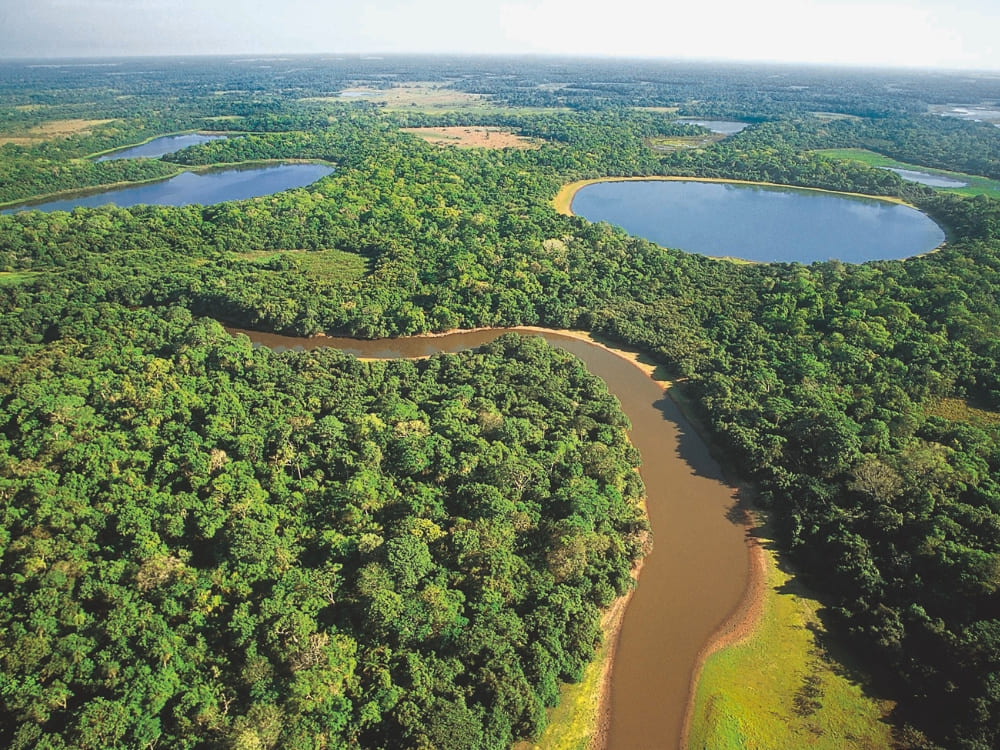 Pantanal Tour vanuit Cuiabá