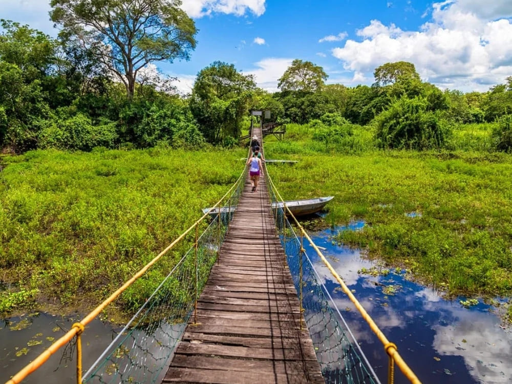 Pantanal Tour vanuit Cuiabá - Overstroomde Gebieden