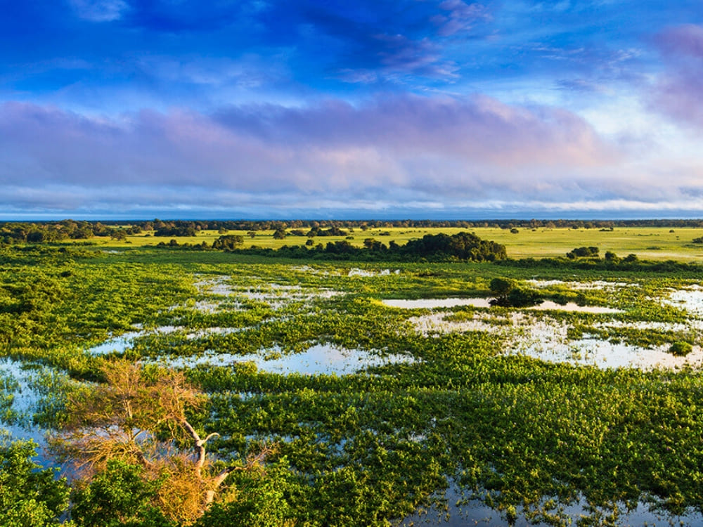 Pantanal-wildtoer vanuit Cuiabá