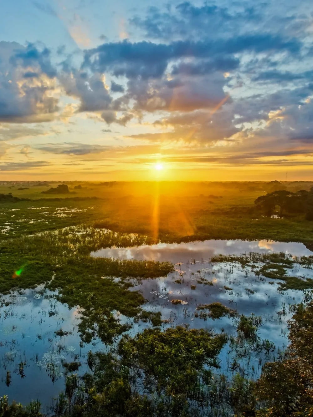 Pantanal Tour vanuit Cuiabá - Overstroomde Gebieden