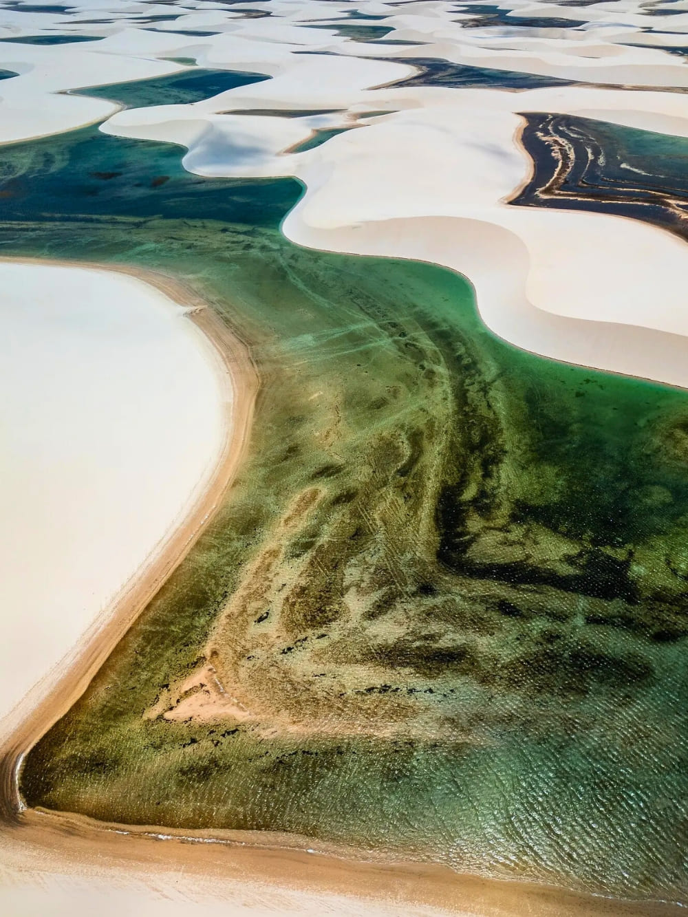 Lencois Maranhenses tour from Atins