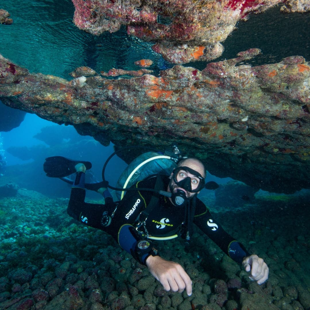 diving in Fernando de Noronha