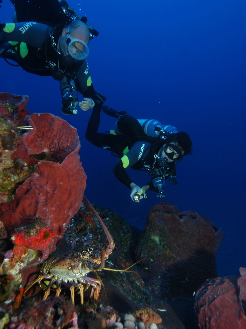 Diving in Fernando de Noronha