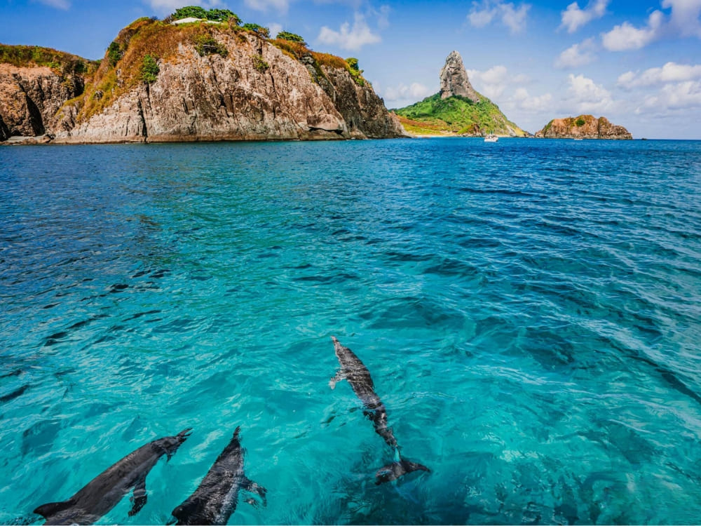 Advanced Adventurer Diving Course in Fernando de Noronha 