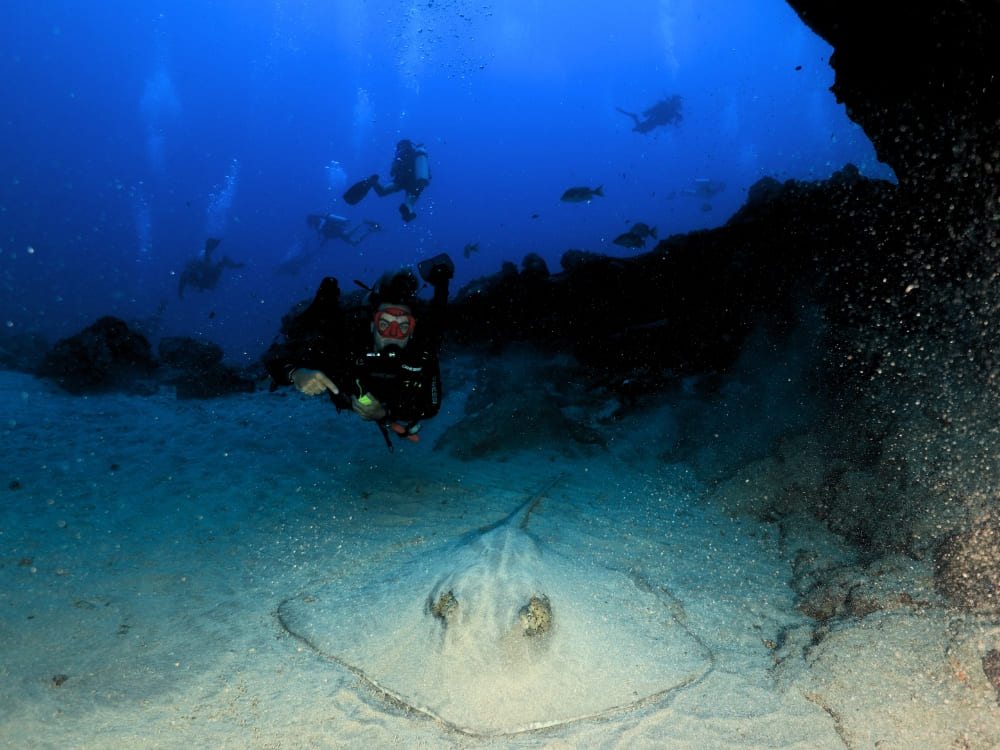 Diving Sites - Fernando de Noronha Diving Guide (88) - Pamella Rech