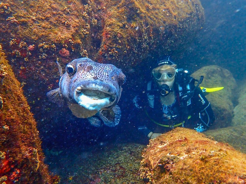 5-Day Fernando de Noronha Diving Trip