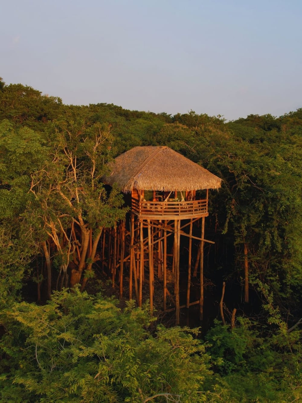 Overview and Accommodation - Juma Amazon Jungle Lodge 