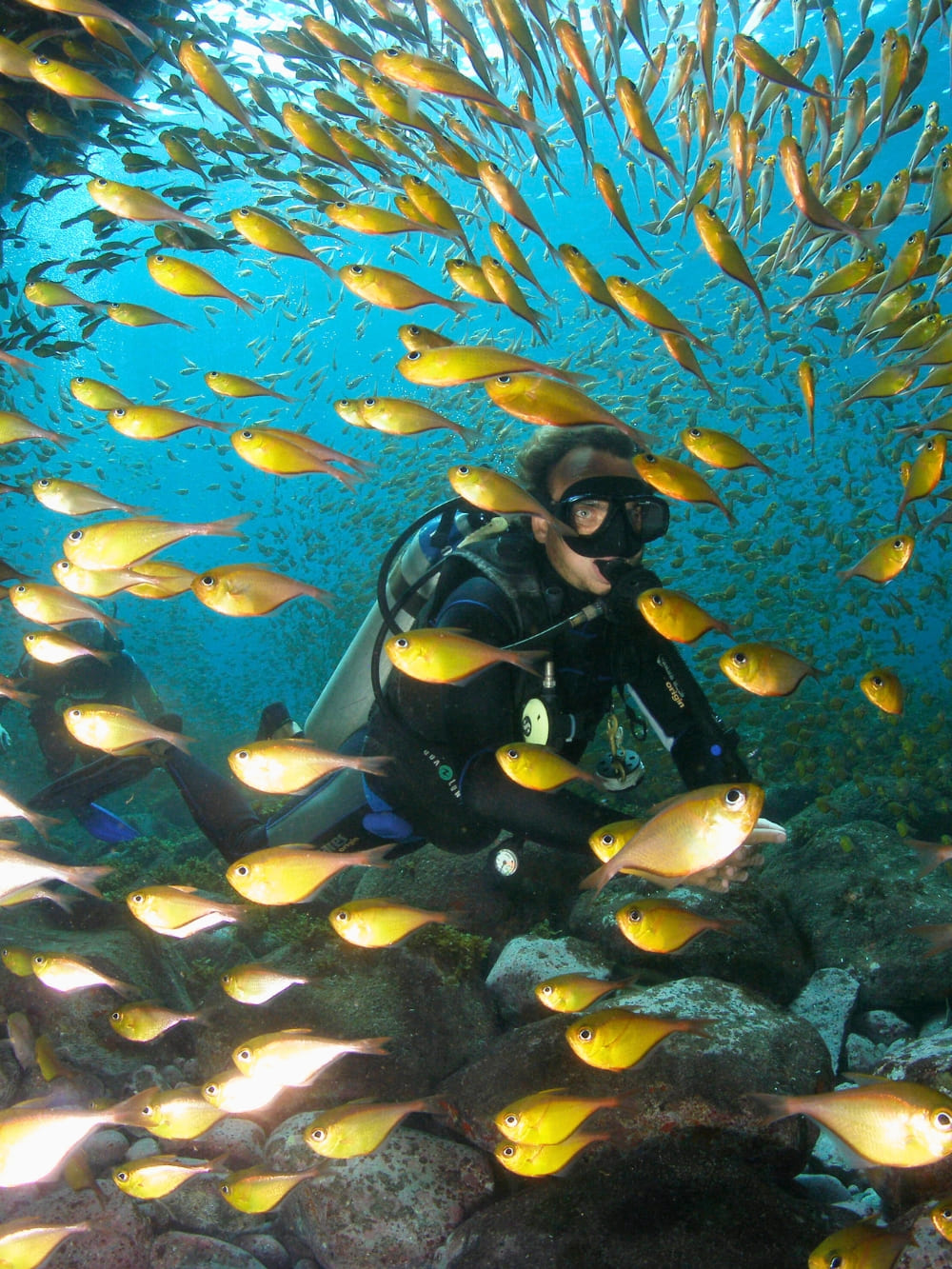 5-Day Fernando de Noronha Diving Trip