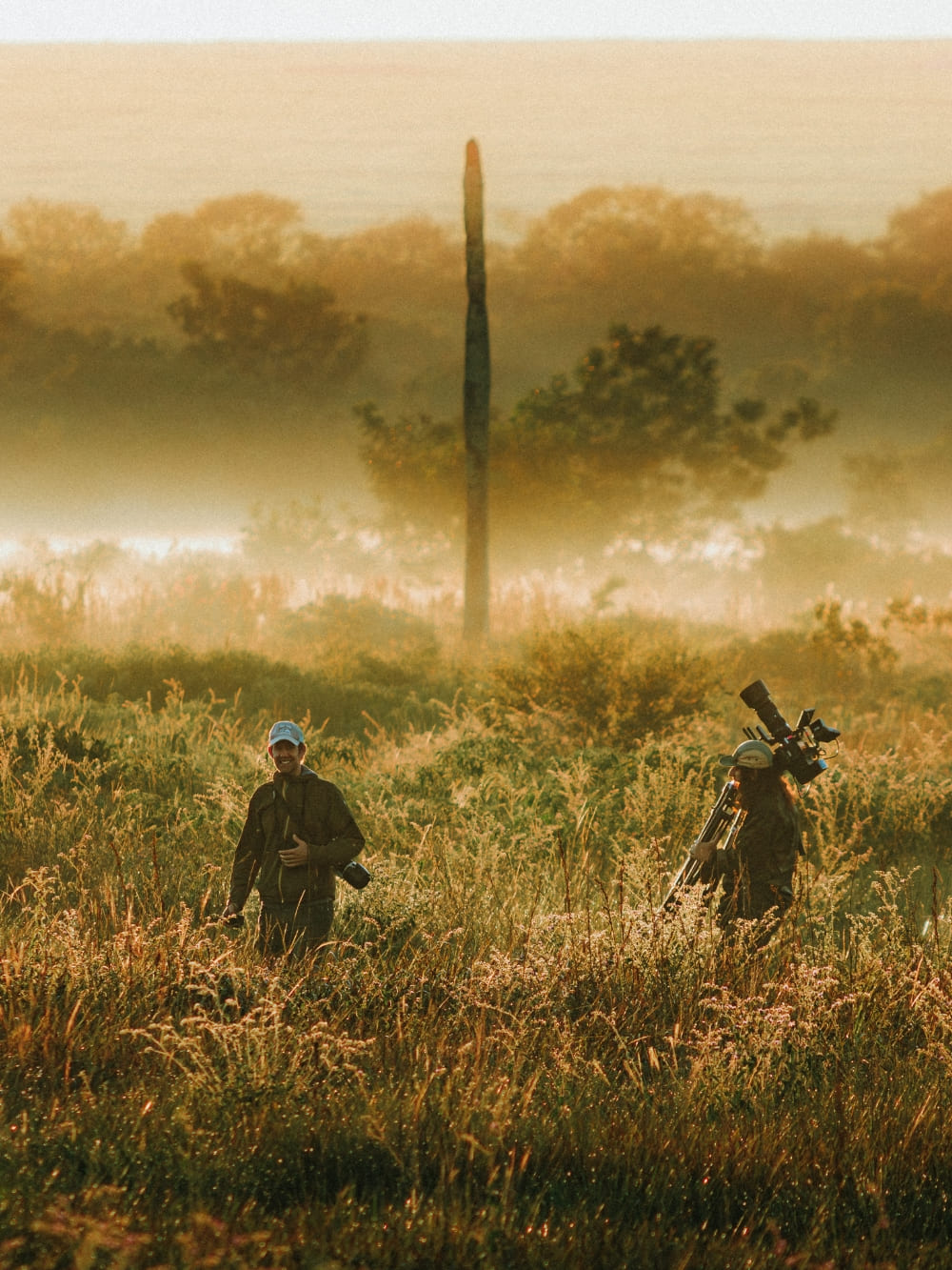 Brazil’s Wild Cerrado Tour at Pousada Trijunção