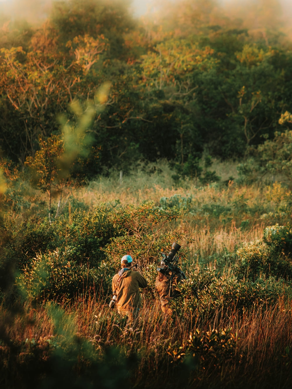 Brazil’s Wild Cerrado Tour at Pousada Trijunção