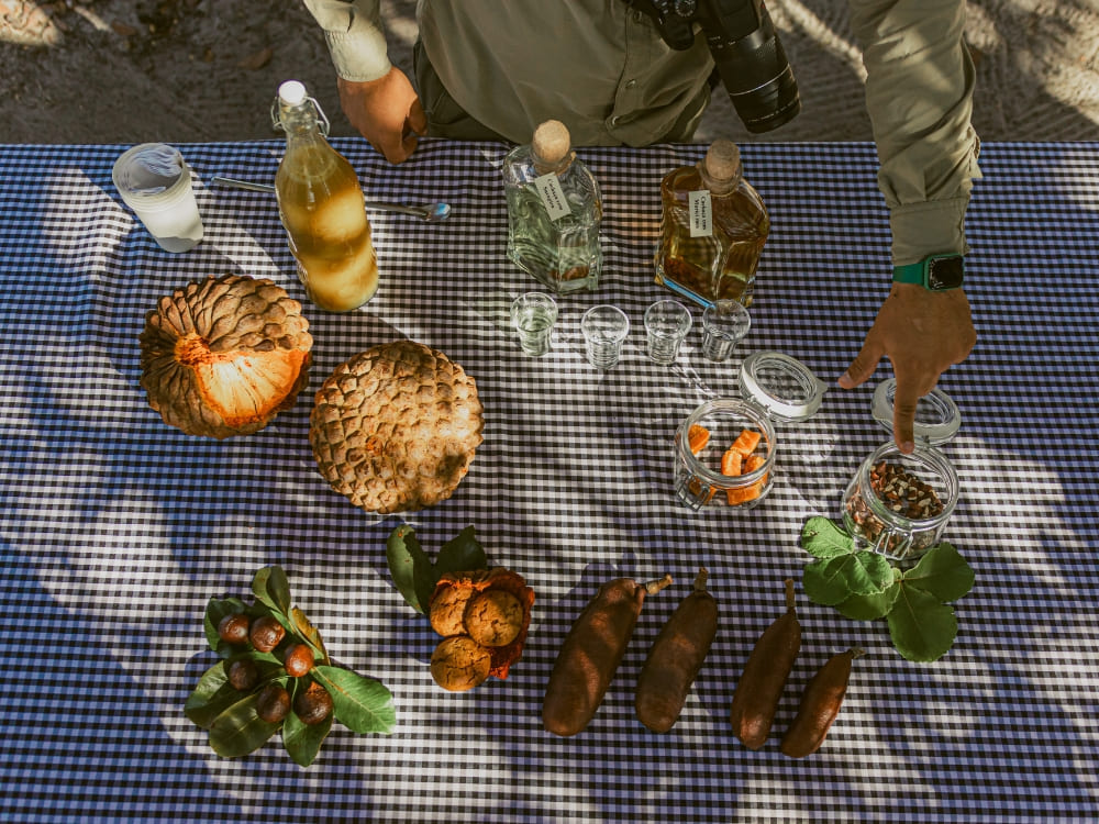 Brazil’s Wild Cerrado Tour at Pousada Trijunção