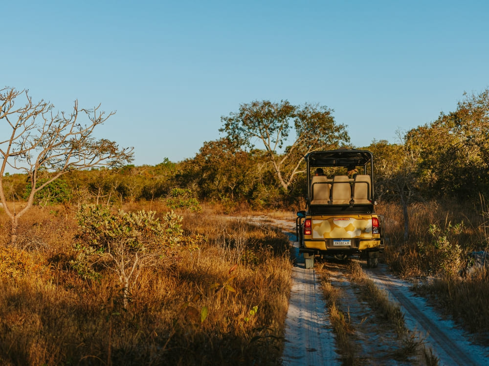 Brazil’s Wild Cerrado Tour at Pousada Trijunção (5)