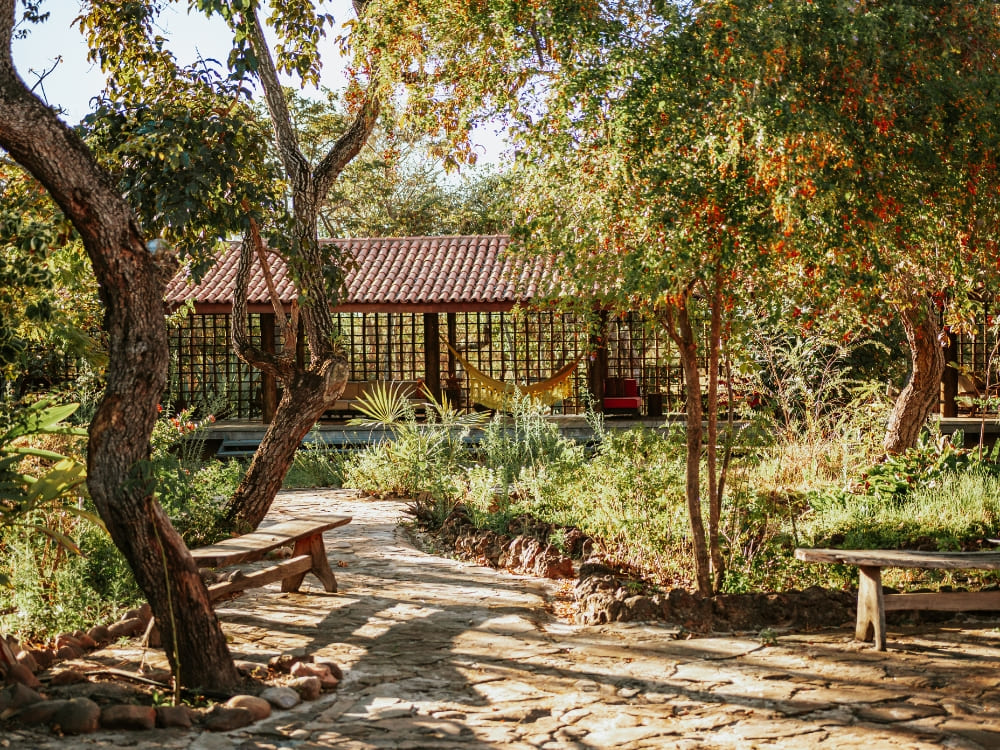 Brazil’s Wild Cerrado Tour at Pousada Trijunção