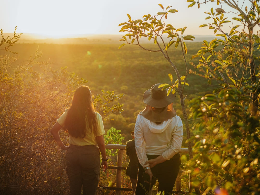 Brazil’s Wild Cerrado Tour at Pousada Trijunção (10)