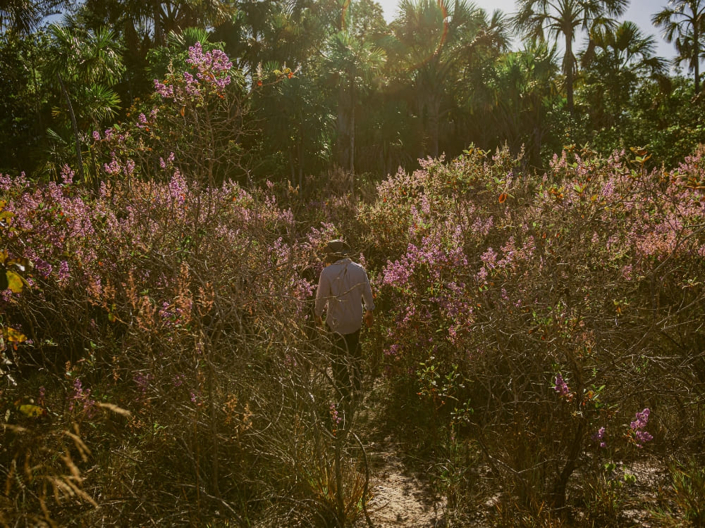 Brazil’s Wild Cerrado Tour at Pousada Trijunção (2)