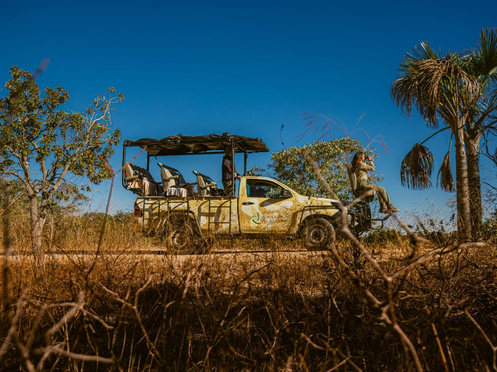 Brazil’s Wild Cerrado Tour at Pousada Trijunção (3)