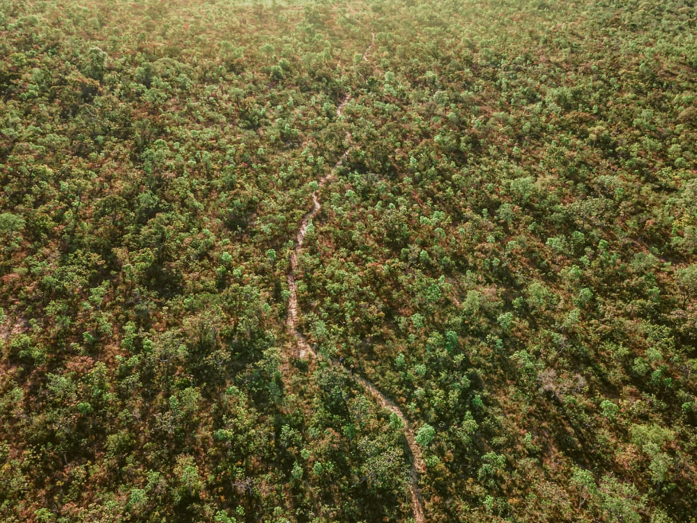 Brazil’s Wild Cerrado Tour at Pousada Trijunção (6) (1)