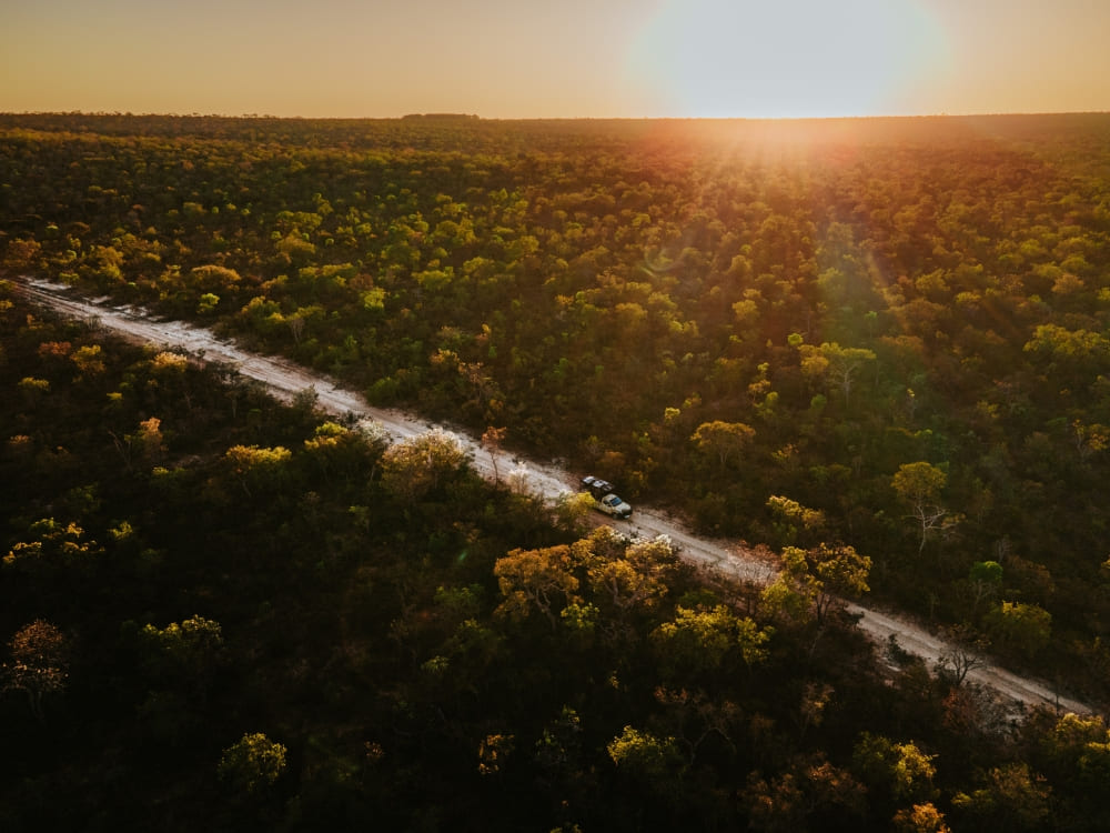 Cerrado - Brazil Wildlife Tours