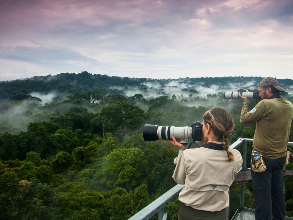 15 Fakten über den Amazonas-Regenwald - Ökotourismus-Hotspot