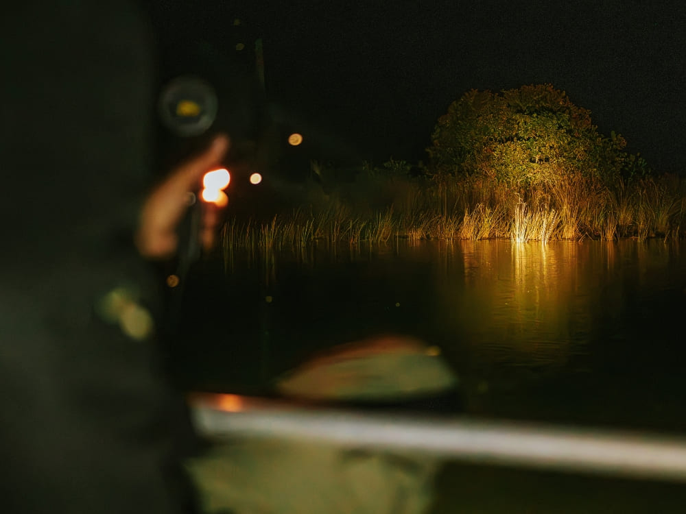 Pousada Trijunção - Night Safari - Caiman (1)