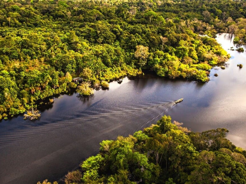 Anavilhanas Park at Mirante do Gaviao