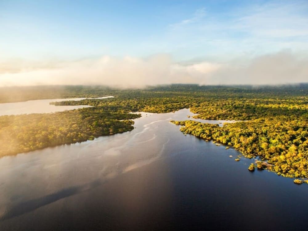 Anavilhas National Park Amazon Brazil