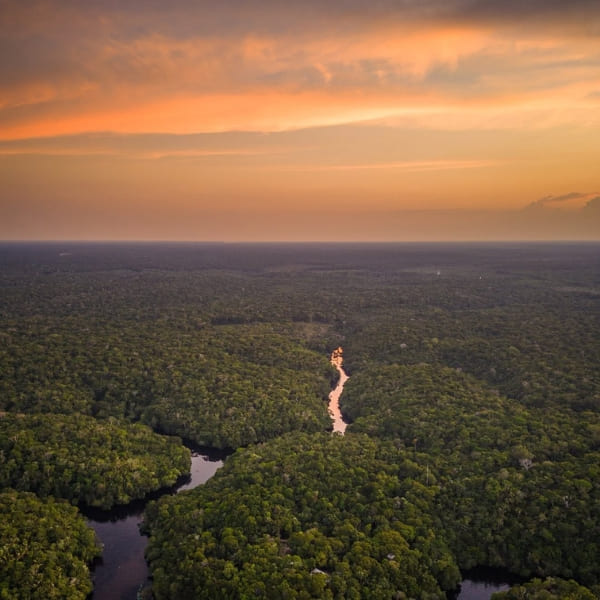 Mirante do gavião jungle lodge
