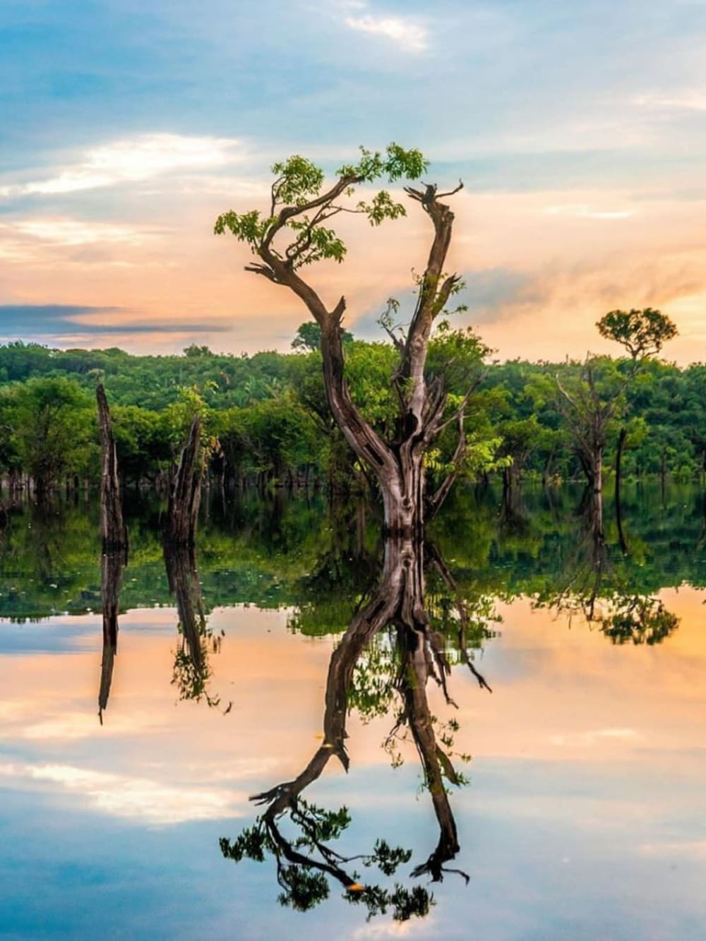 Rio Negro at Amazon exclusive lodge