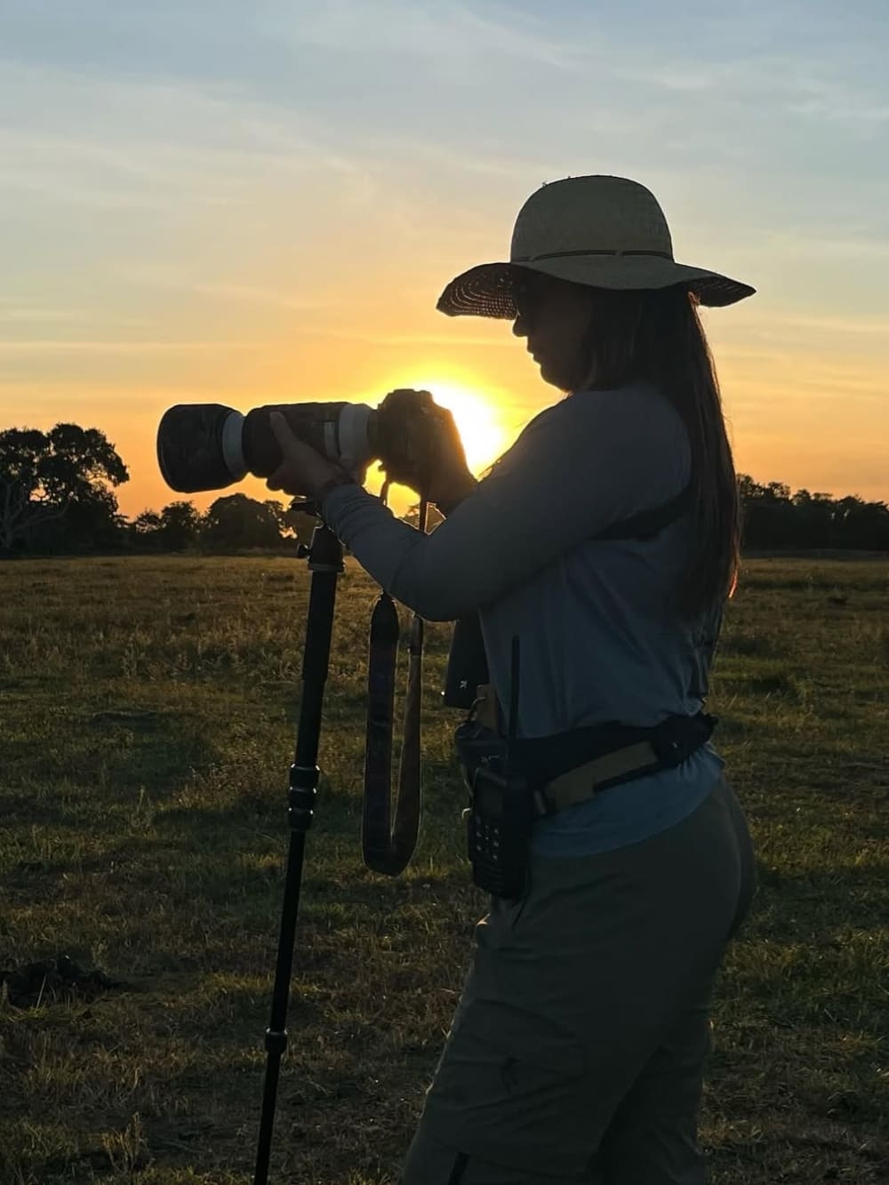 Guided Jaguar photography tour in Pantanal brazil
