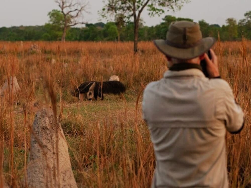 Photography tour in Pantanal brazil