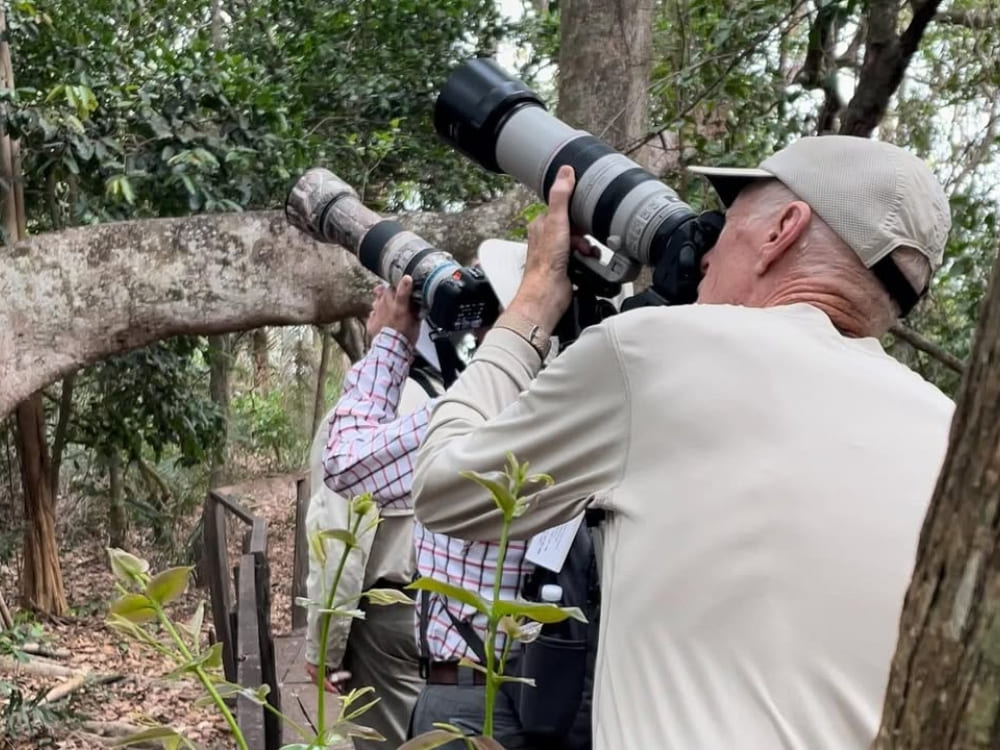 Pantanal Jaguar Photography Tour
