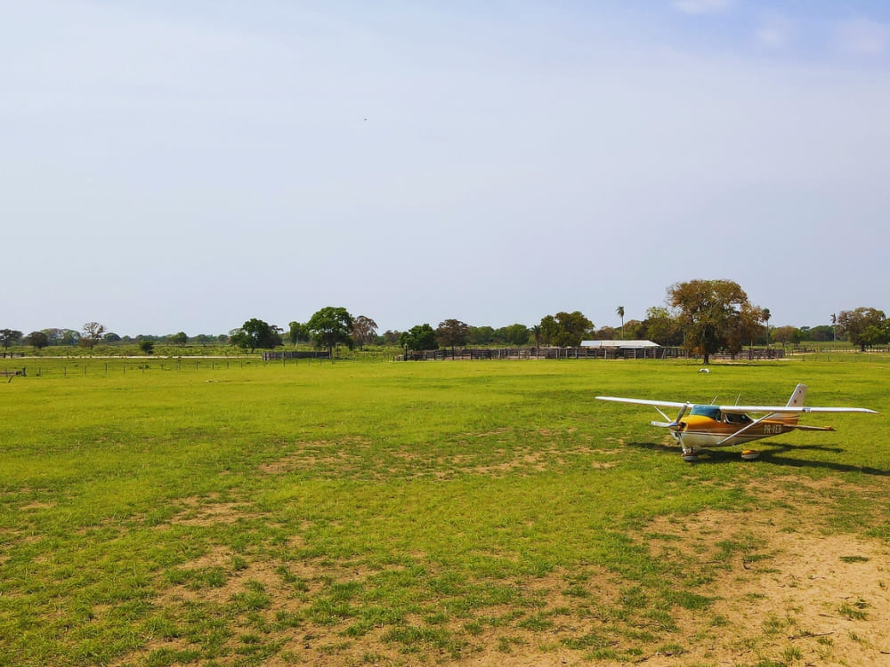 Wild South Pantanal 