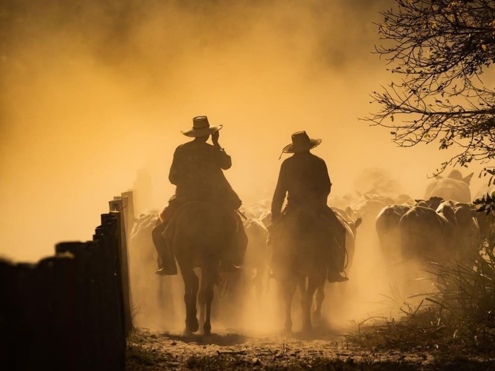 Horseback riding Pantanal