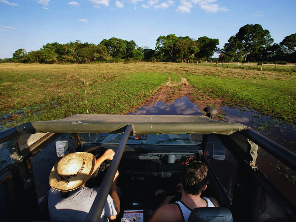 Afternoon photo safari in a 4x4 vehicle