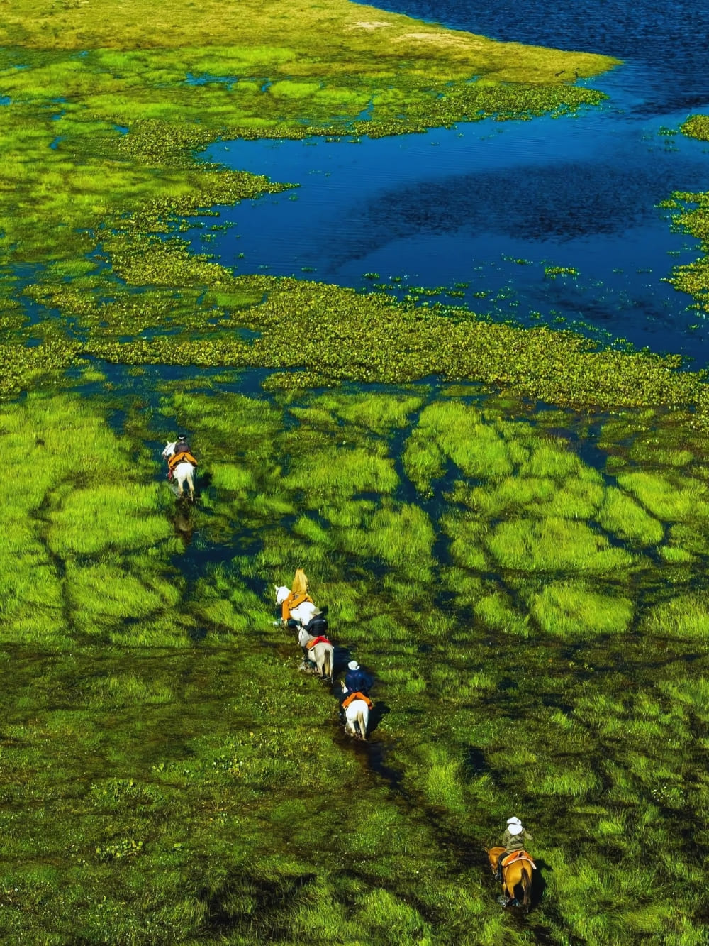 Horseback riding Pantanal
