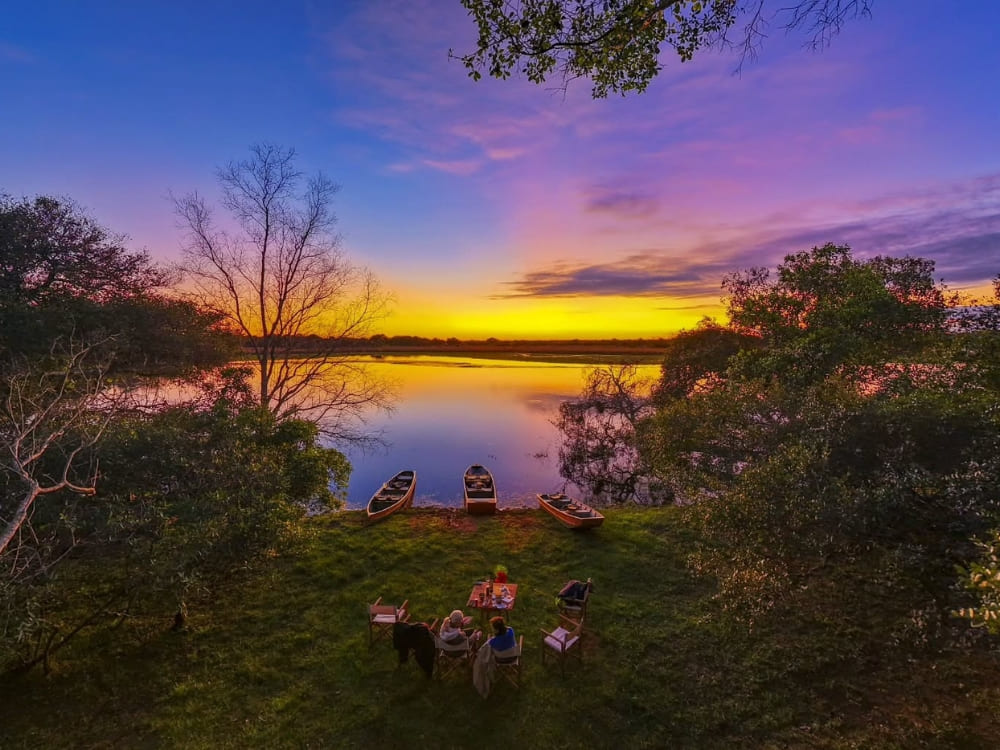 Wild South Pantanal 